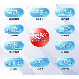 拓盛企业管理咨询视角 ERP软件价钱解析与企业落地实践指南